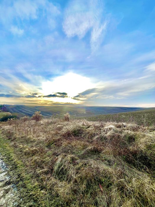 ‼️Продається ПАЙ Колоденка за хорошою ціною‼️