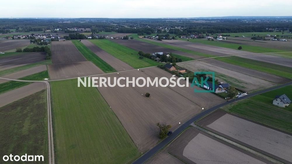 Rosocha gm. Golina | 4 działki na sprzedaż | 60zł/m² - Widok 2