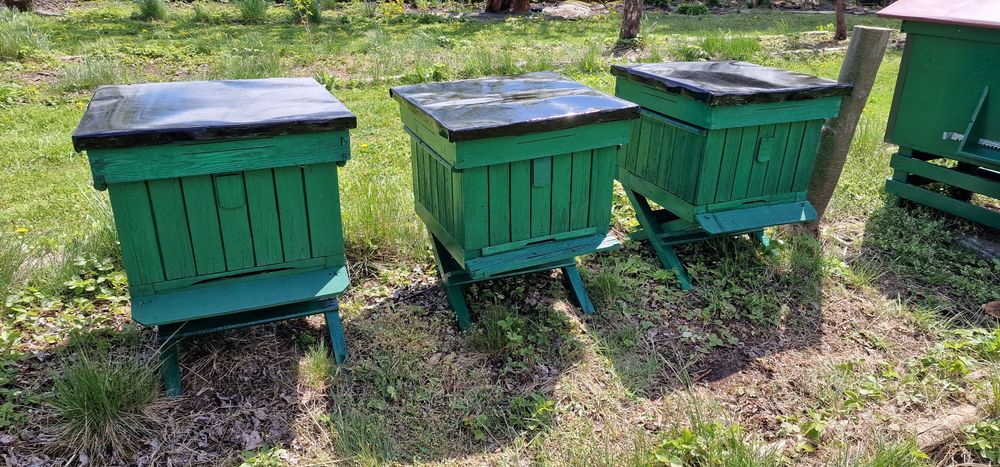 3x ul Wielkopolski, dennica, stojak i daszek, bez korpusu
