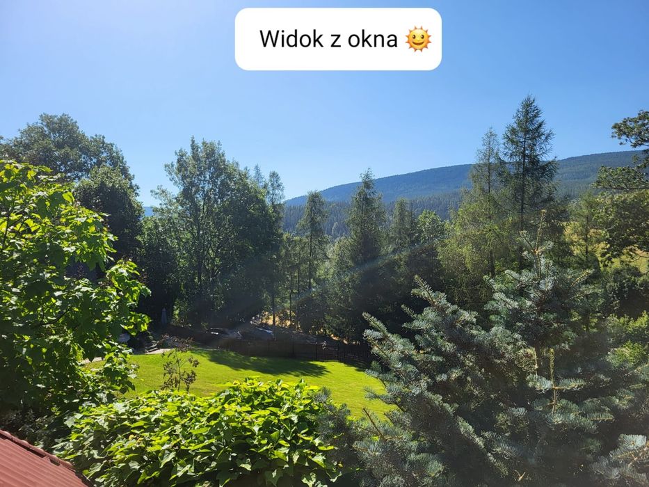 Świeradów-Zdrój Domek do wynajęcia pod Sępią Górą