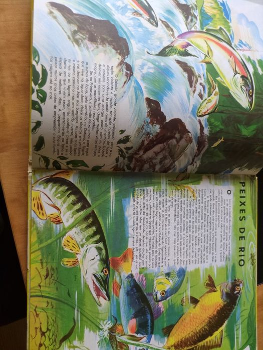 O Mundo dos Animais texto de Marcelle Vérité