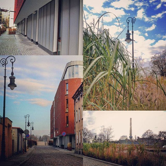 Lokal usługowy 114,14 m² Wejście z ulicy Tylne Chwaliszewo, Poznań