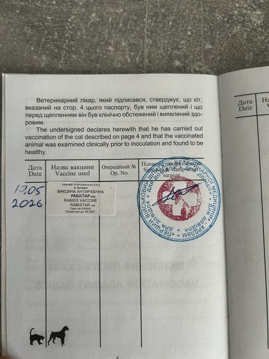 Віддам цуцення в хороші руки!
