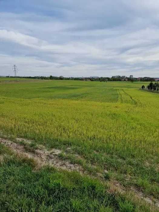 Sprzedam działkę budowlaną 900m2 Święte Środa Śląska