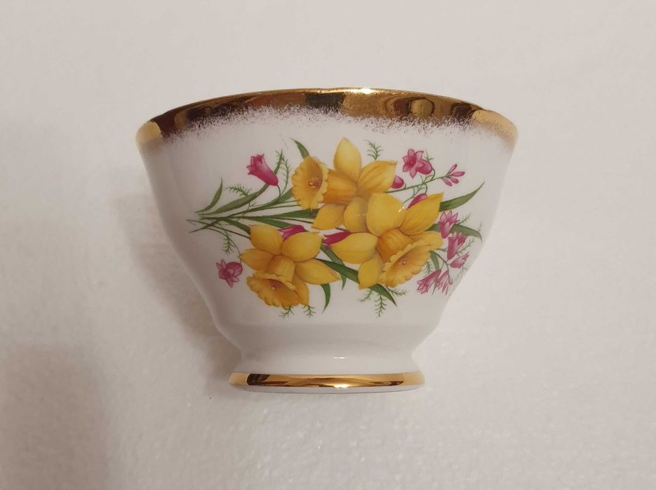 Belíssima Taça / Tijela muito antiga - Salisbury bone china - England