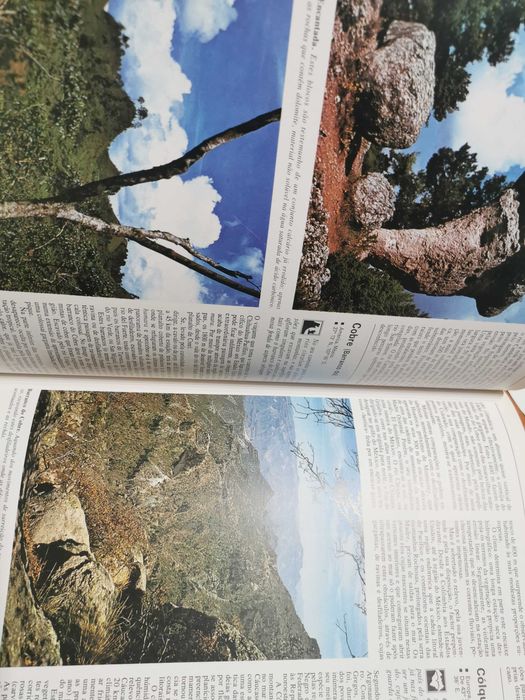 Dicionário Ilustrado das Maravilhas Naturais do Mundo