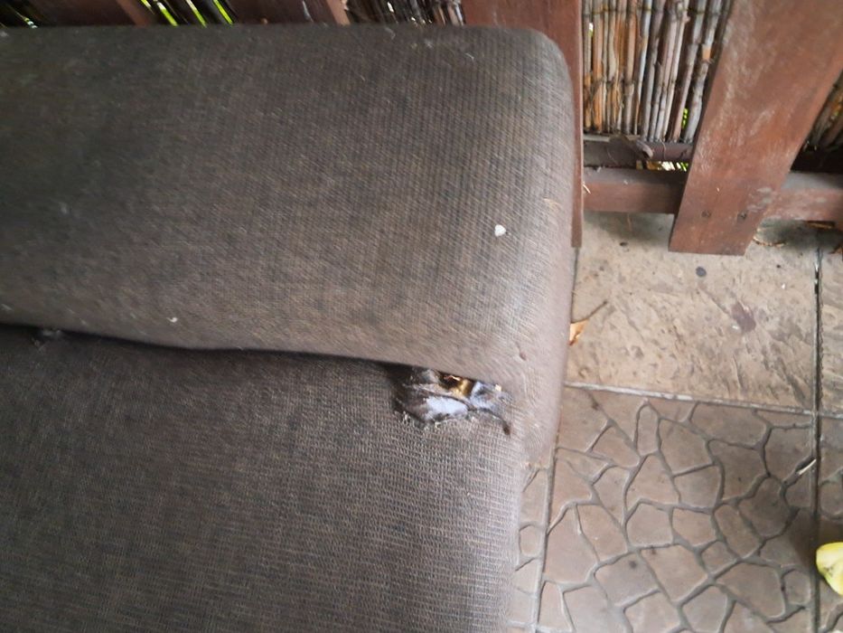 Oddam kanapę nierozkładaną sofę