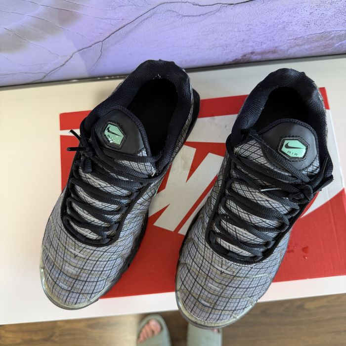 Кроссовки мужские Nike Air Max Plus Grey FB3351-001