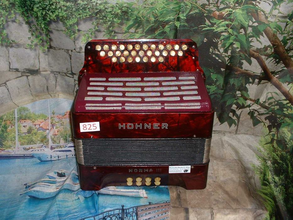 Concertina a venda n.825