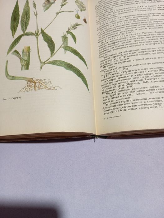 Ковалева Н.Г. Рідкісне видання.