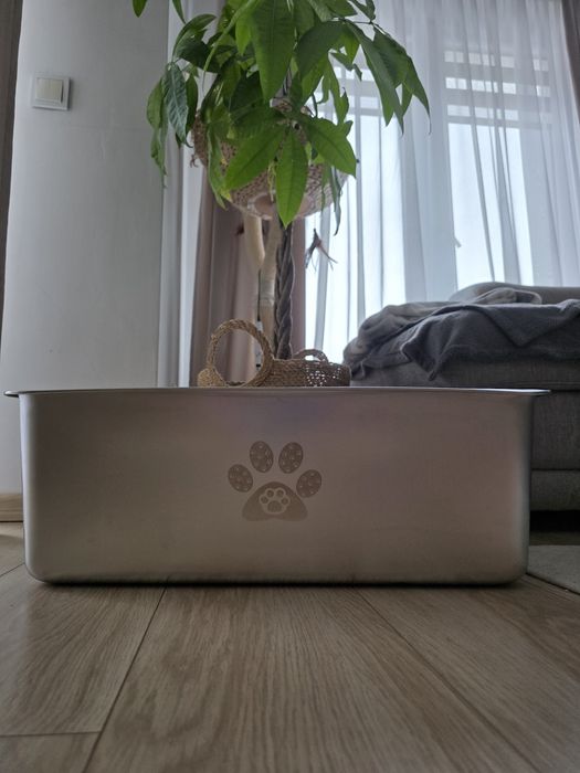 Srebrna kuweta dla kota