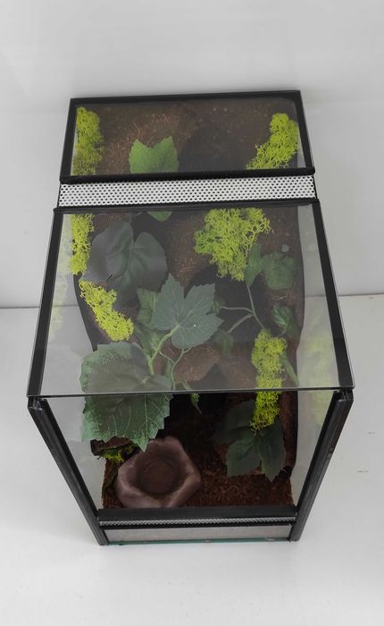 Terrarium dla ptasznika, pająka, TW23TP, AquaWaves