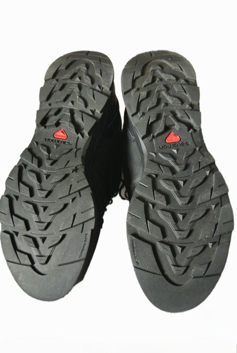 Buty trekingowe Salomon X-Alp LTR GTX (Gore-tex)