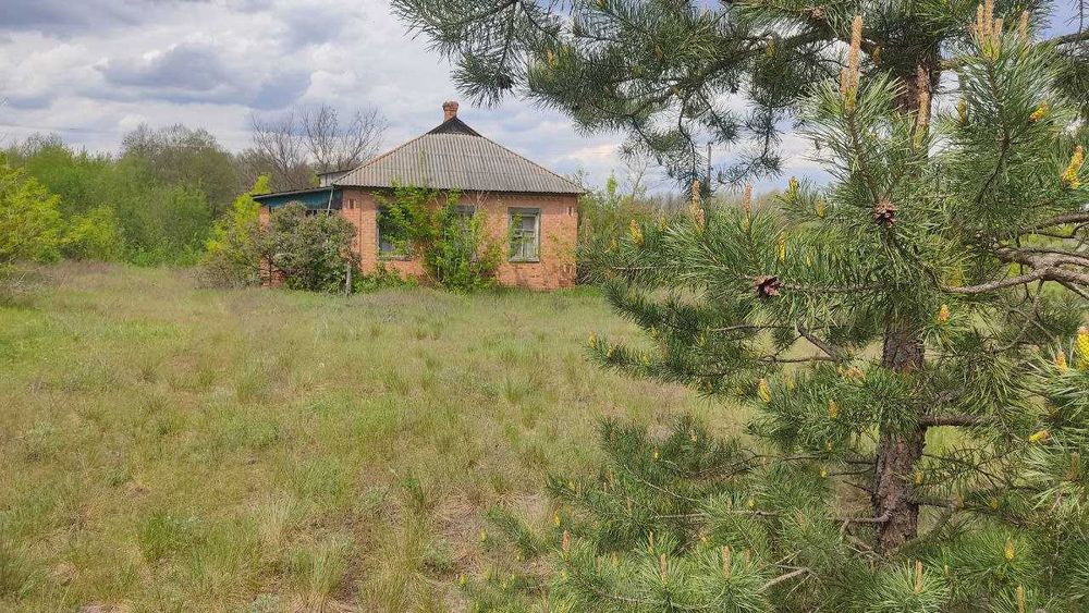 Продам дом у хвойного леса и карьера с. Задонецкое