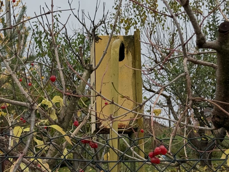 Продаж земельної ділянки с.Княгининок, біля річки Стир