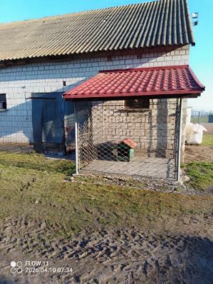 Kojec dla psa