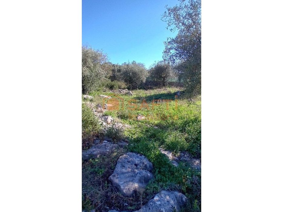 Terreno urbano de 2955 m2, em Mira Daire
