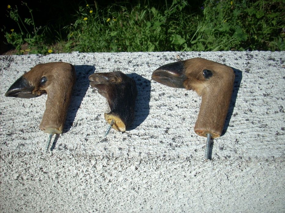 patas de veado e javali