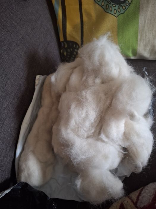 Шерсть біла шпица та метіса