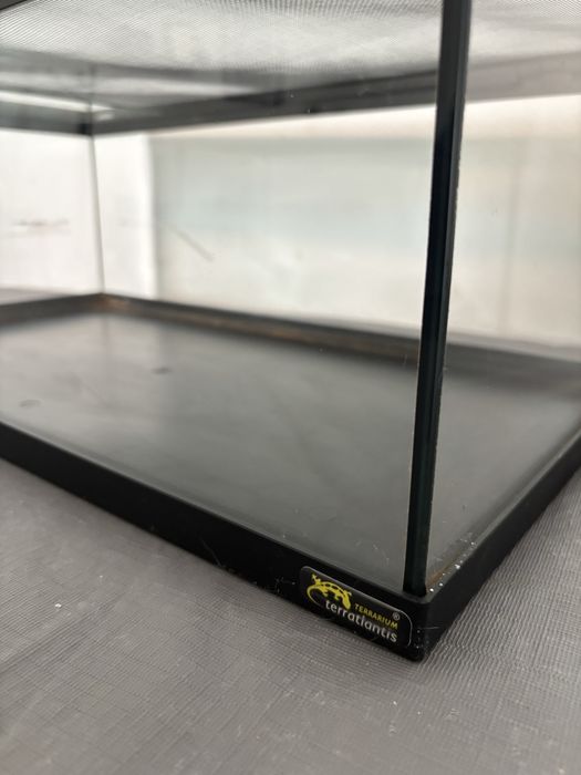 Terrario 55x30 cm