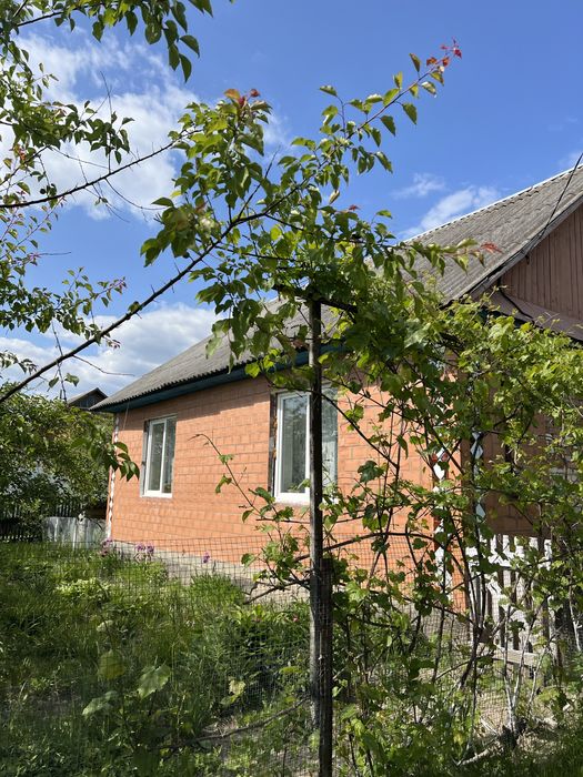 Продається будинок у мальовничому селі