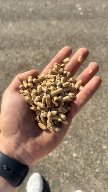 Pellet Granul EN plus A1 - Bielsk Podlaski