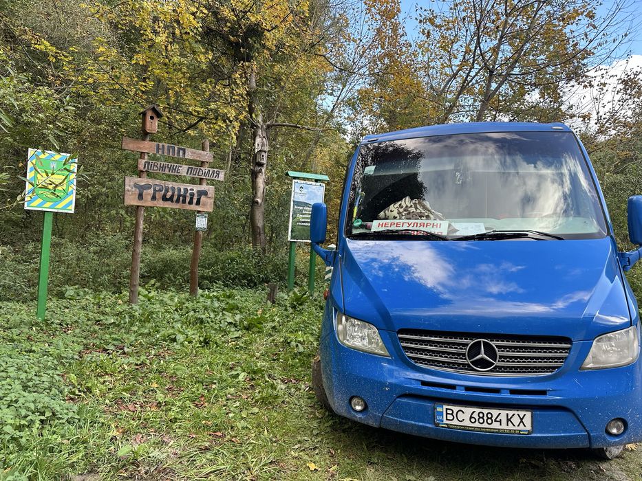 Перевезення, пасажирські перевезення, нерегулярні перевезення