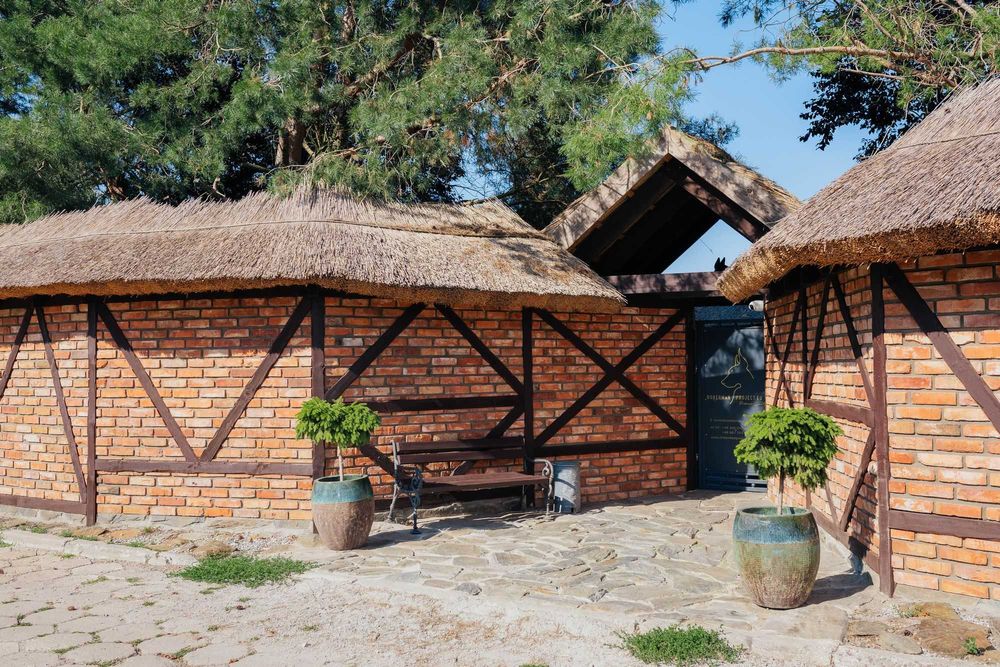 HOTEL DLA PSÓW Dobermanproject.eu