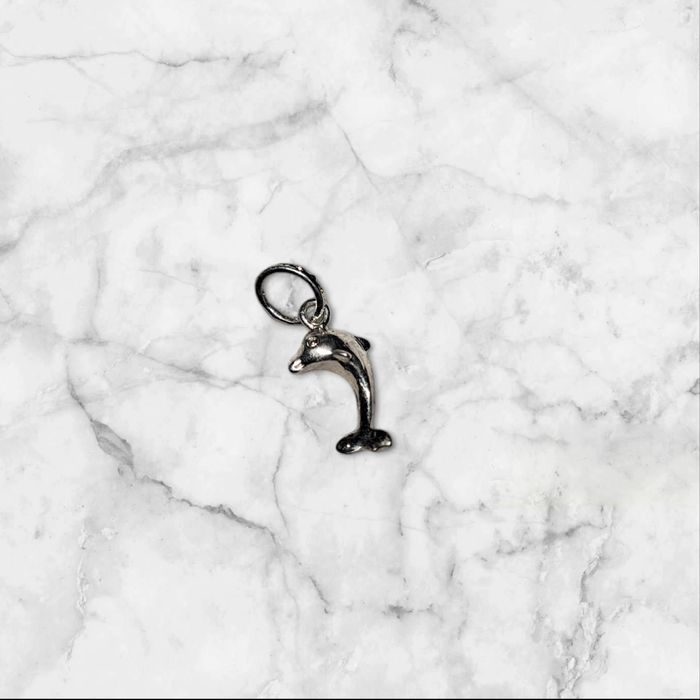 Srebrna zawieszka delfina Charmsy