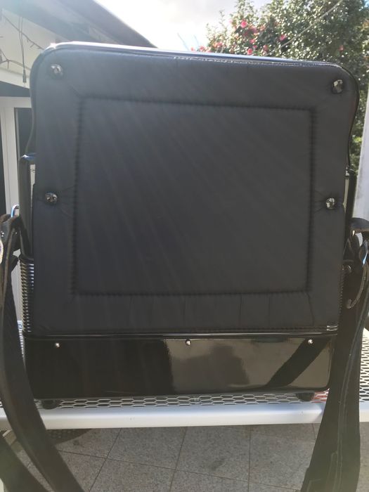 Vendo concertina da Famosa marca Pedrosini