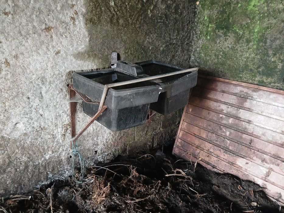 Bebedouro para animais de grande porte