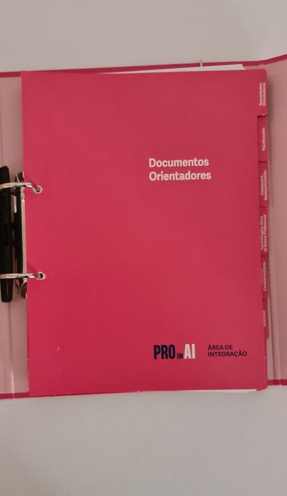 Dossier do professor.  PRO AI. Área de Integração.  Novo