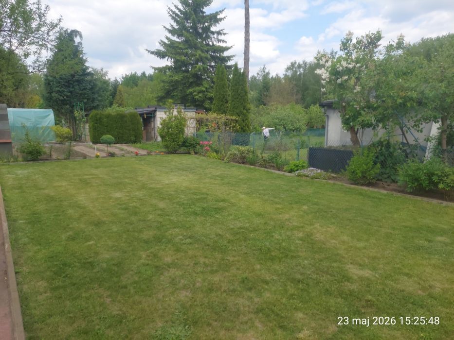 Działka ROD 35 Lecia Godów 400m² - Widok 5