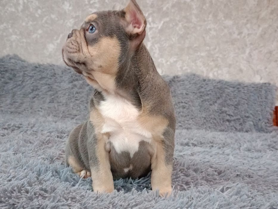 Розочка ждёт Вас