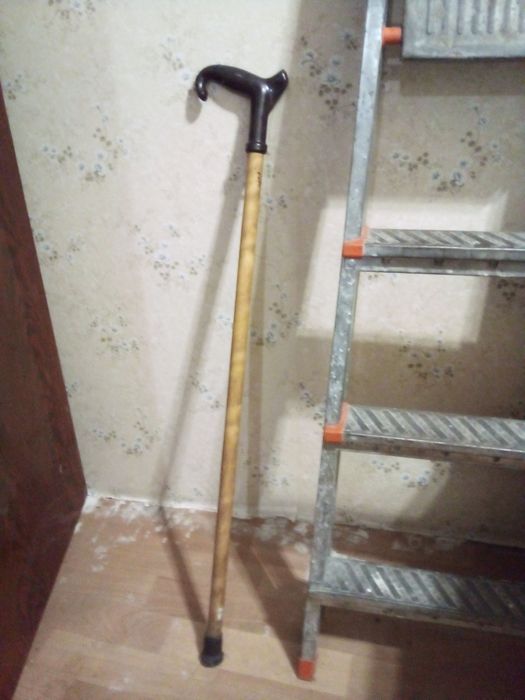 Палиця  допоміжна