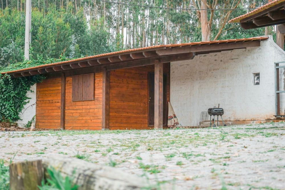 Propriedade 9ha Vagos + piscicultura + armazém