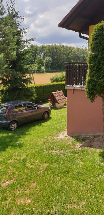 Zdjęcie 4