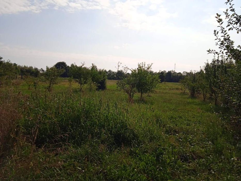 еОселя! Продаж будинку із великою земельною ділянкою в Іванівцях Колом