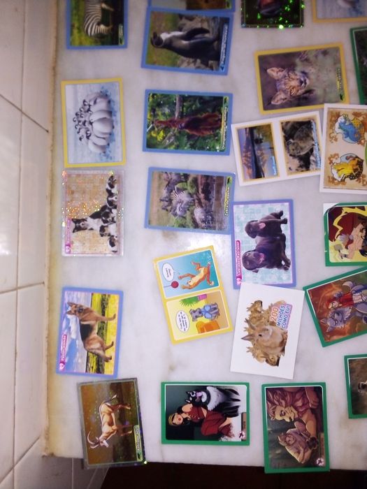 Conjunto de 45 Cromos Colecção Animais