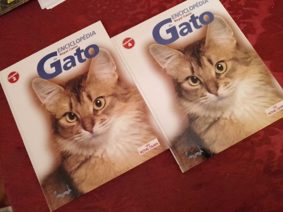 Cantigas d'escarnio e mal dizer-P.R.Lapa2e-Galaxia-75E-Regra5EDesde5E