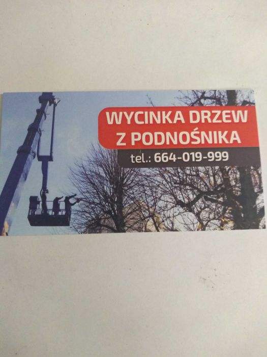 Wycinka drzew z podnośnika