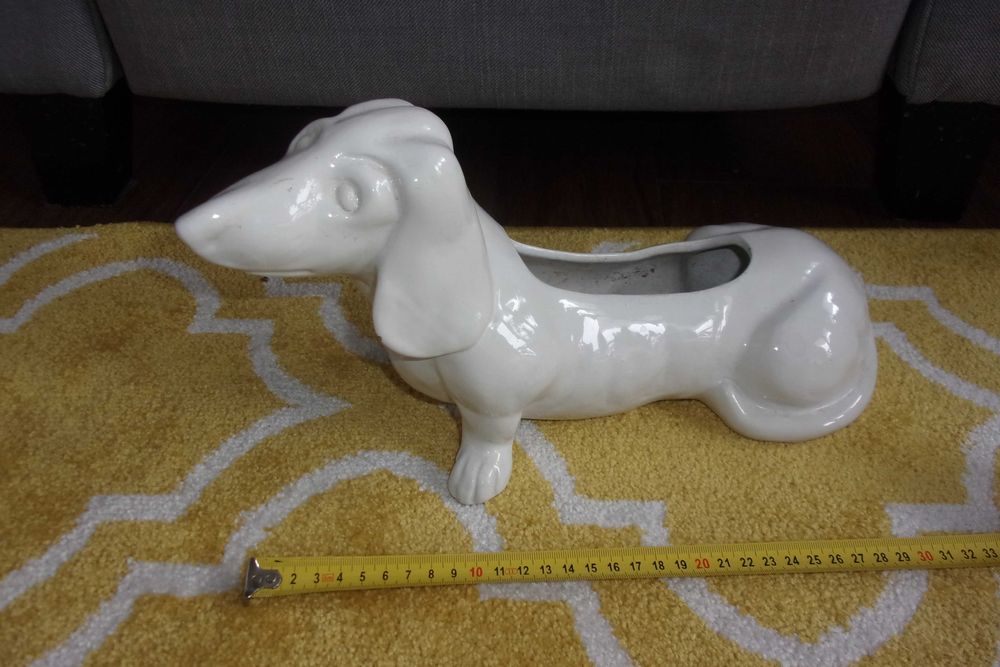 doniczka pies jamnik Portugal