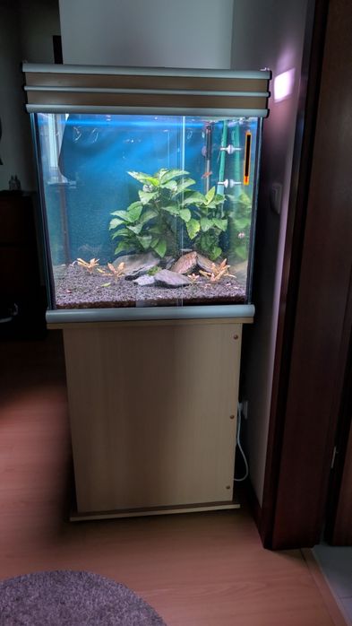 Aquário completo 200 litros