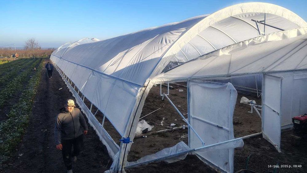 Теплиця 10×50м - вирощуйте овочі круглий рік