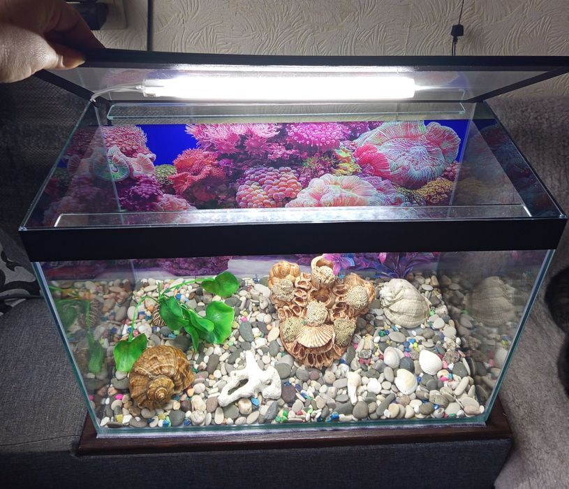 Аквариум 40 л.полный комплект