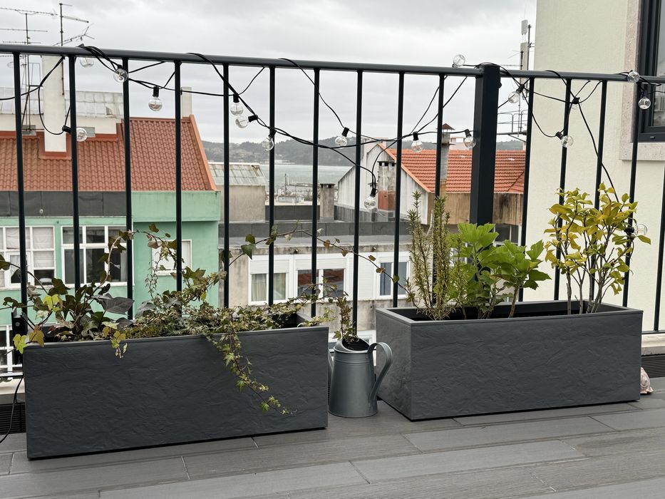 Dois vasos Amazon exterior