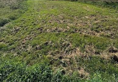 Продам землю Солотвин 30 соток