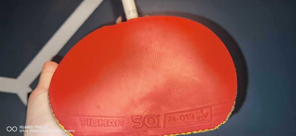 Wymienie Tibhar 5Q +