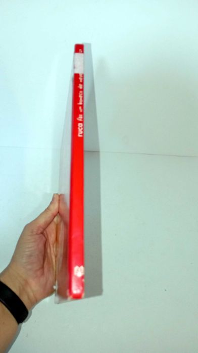 Ruca Faz um Boneco de Neve