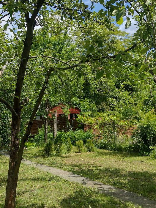 Działka ROD na Ochocie 372 m² - Widok 6